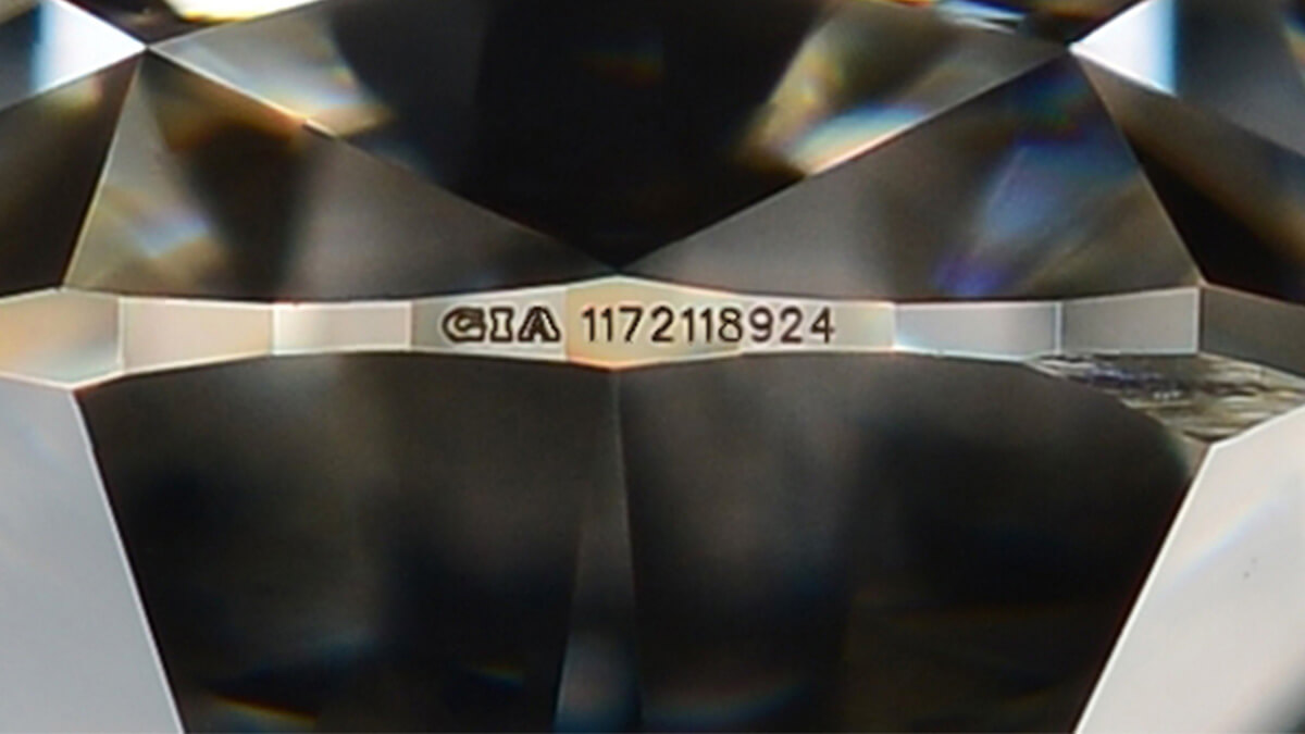 2023102003415892